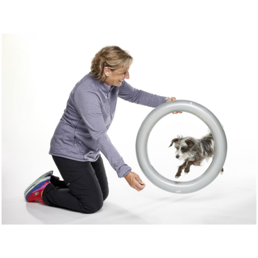 FitPAWS –  Circular Product Holder (Donut Holder) - 3
