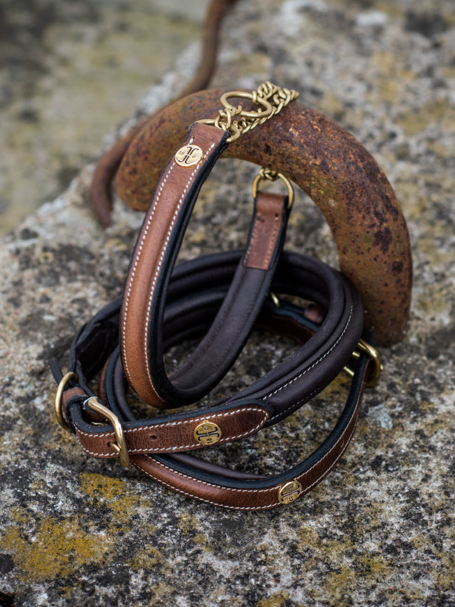 Jacson Asti Hundhalsband Halvstryp Brun  - 3