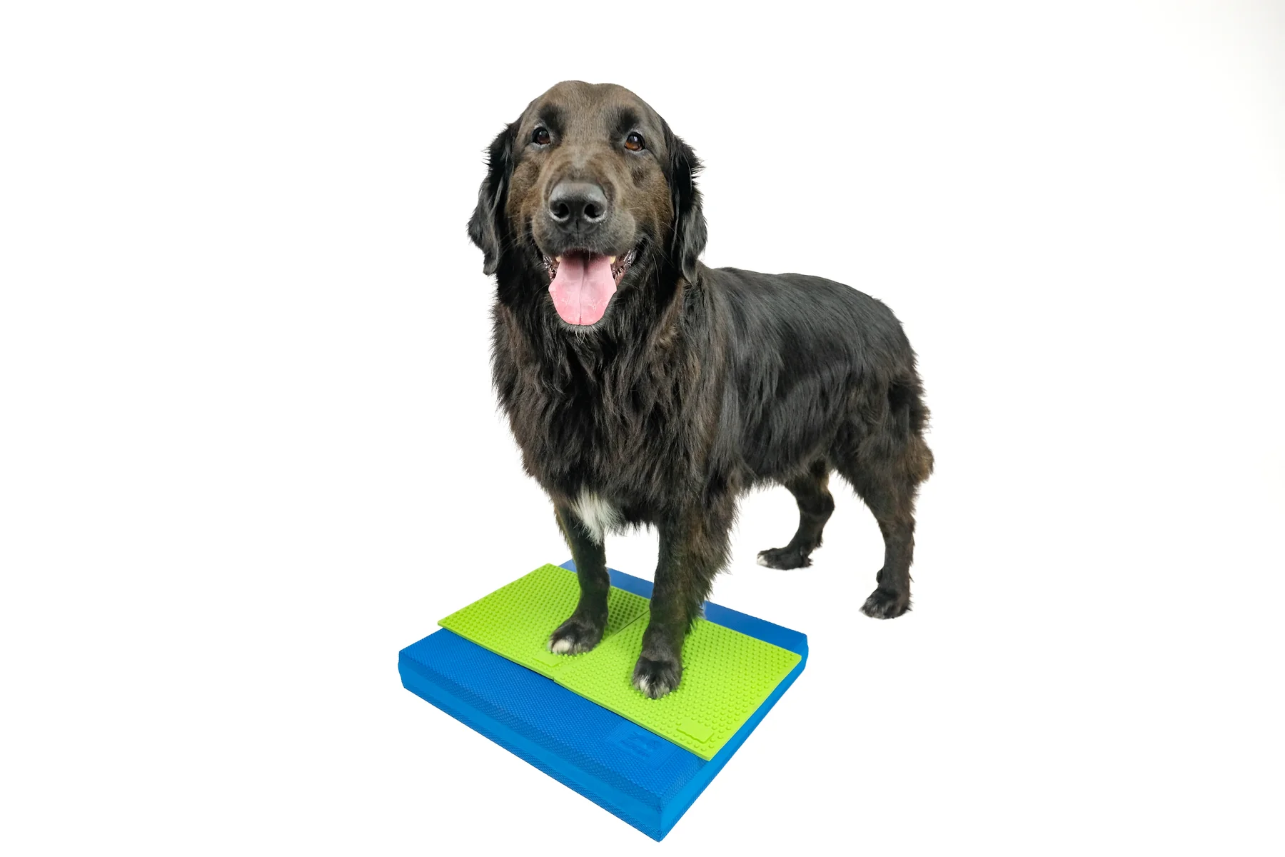 FitPAWS –  Balance Pad - 3