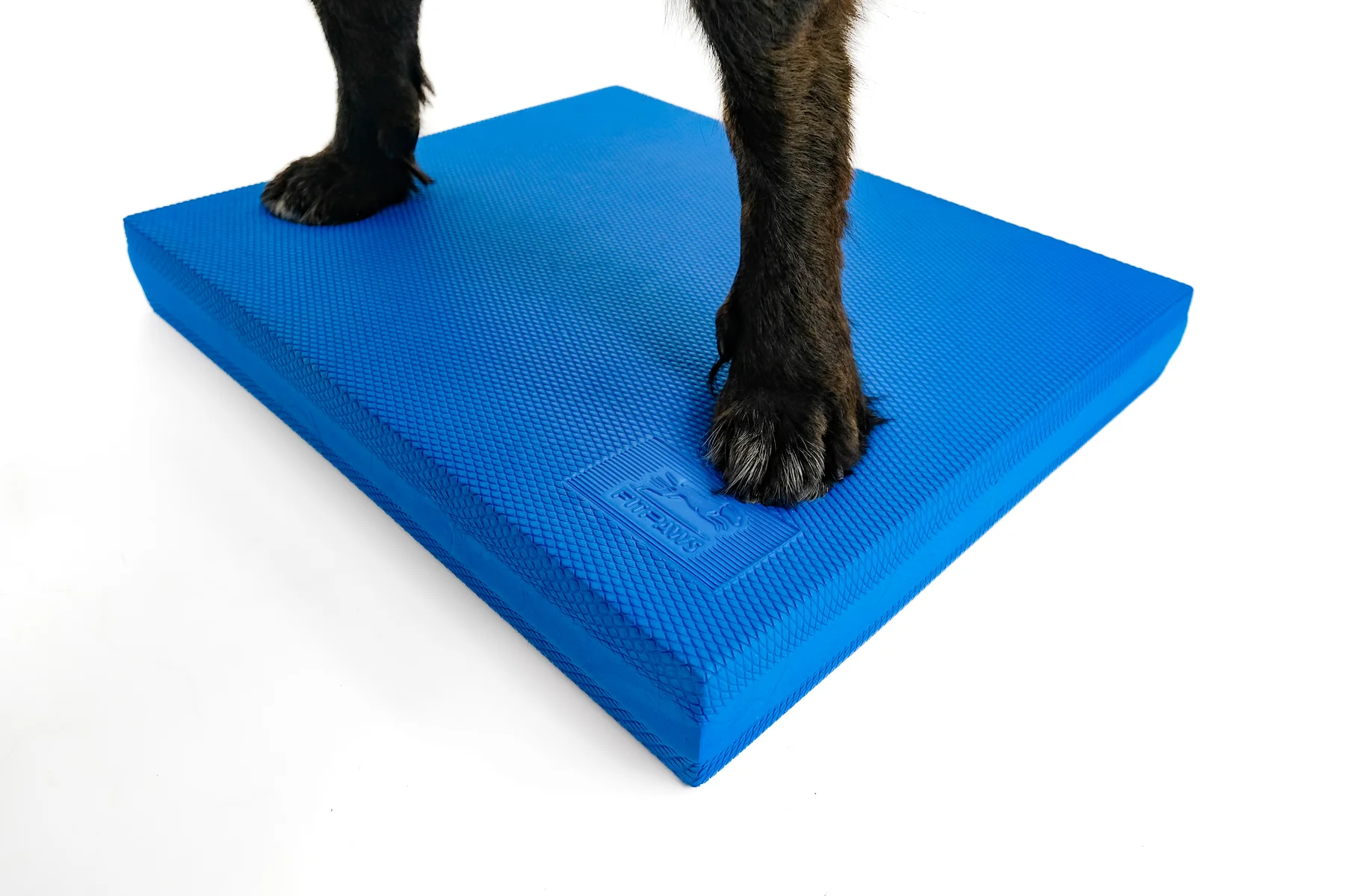 FitPAWS –  Balance Pad - 2