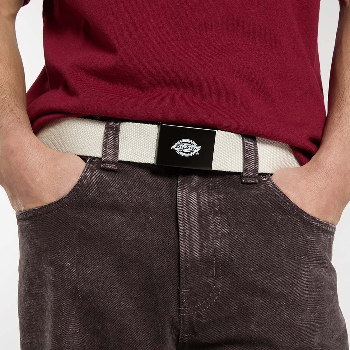 Dickies - Orcutt Belt Ecru - 3