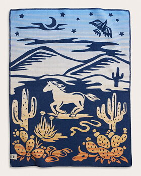 Pendleton crib blanket