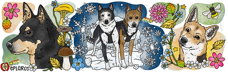 Emaljmugg - Alaskan Husky - 3