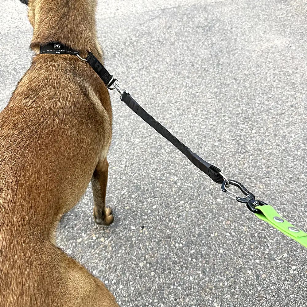 Expanderkoppel till hund