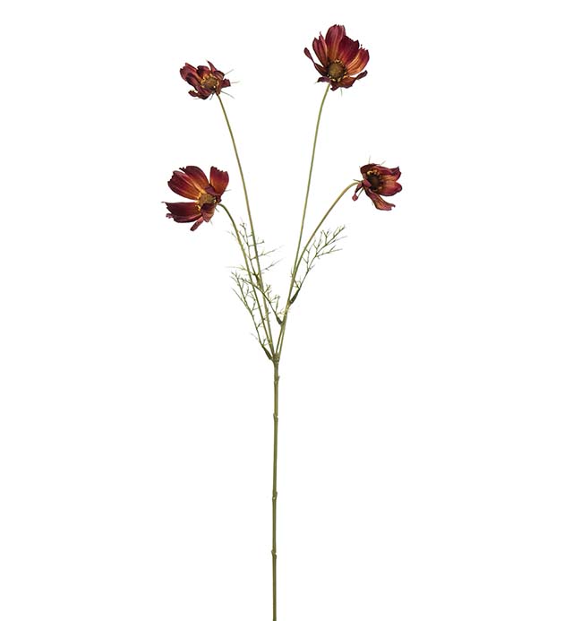 Rosenskära burgundy 60 cm