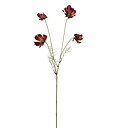 Rosenskära burgundy 60 cm