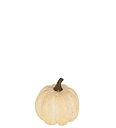 Dekorationspumpa i creme Small