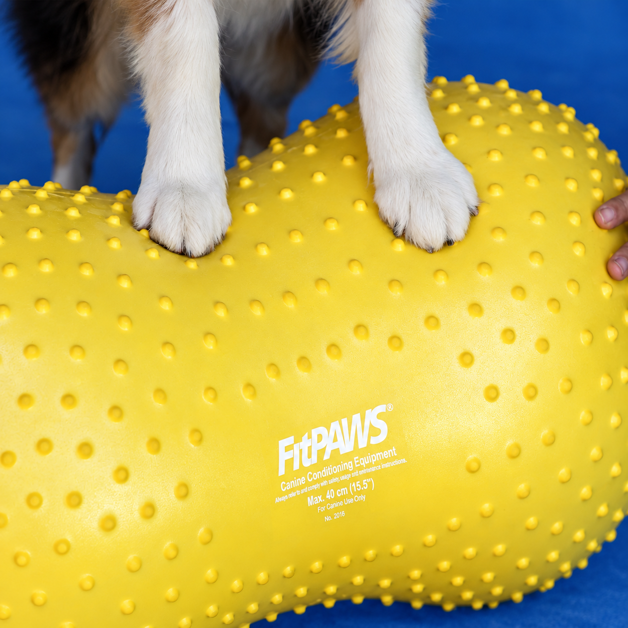 FitPAWS Trax Peanut - 5