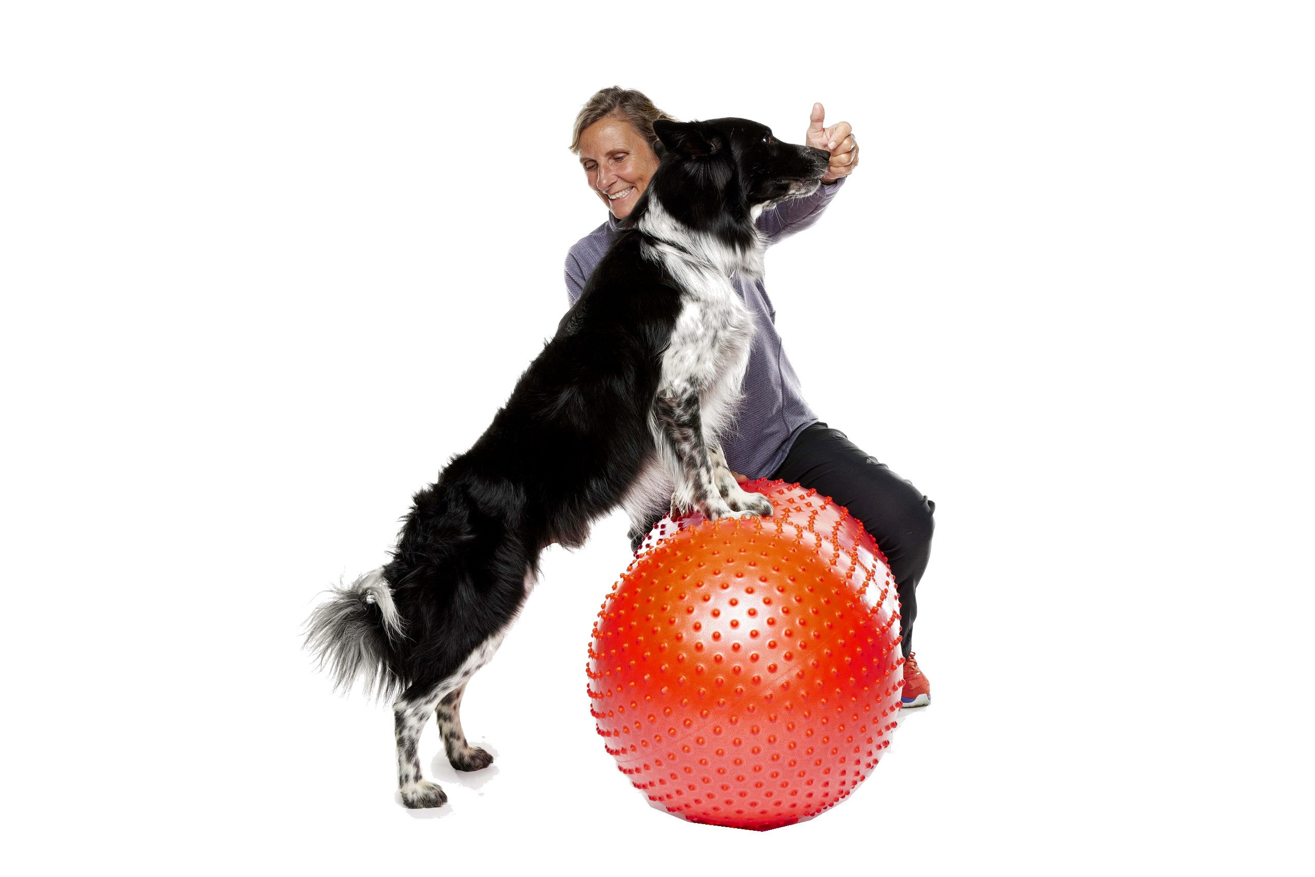 FitPAWS Trax Peanut - 4