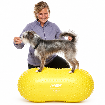 FitPAWS Trax Peanut