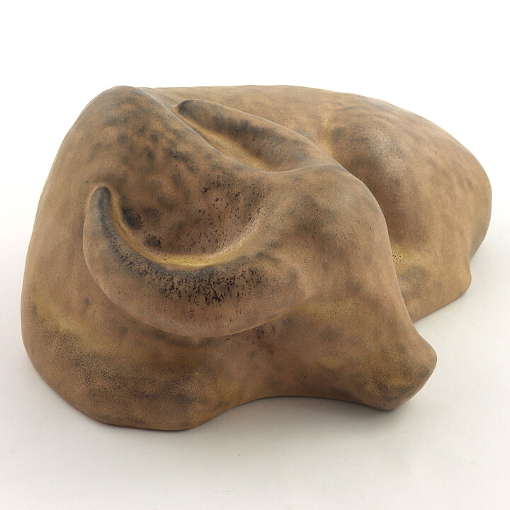 ディートマル・リードケ  茶色い水牛  フォルクスワーゲン  21/10cm  1991年
