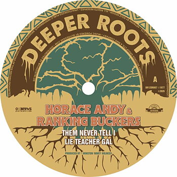 Horace Andy - Them Never Tell I