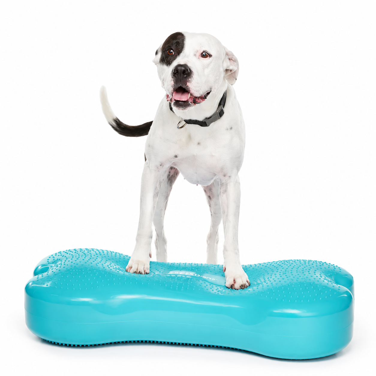 FitPAWS Giant K9 FITbone - 3
