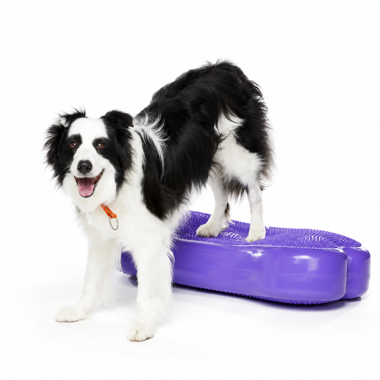 FitPAWS Giant K9 FITbone - 2