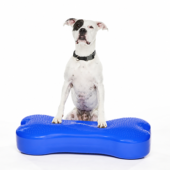 FitPAWS Giant K9 FITbone