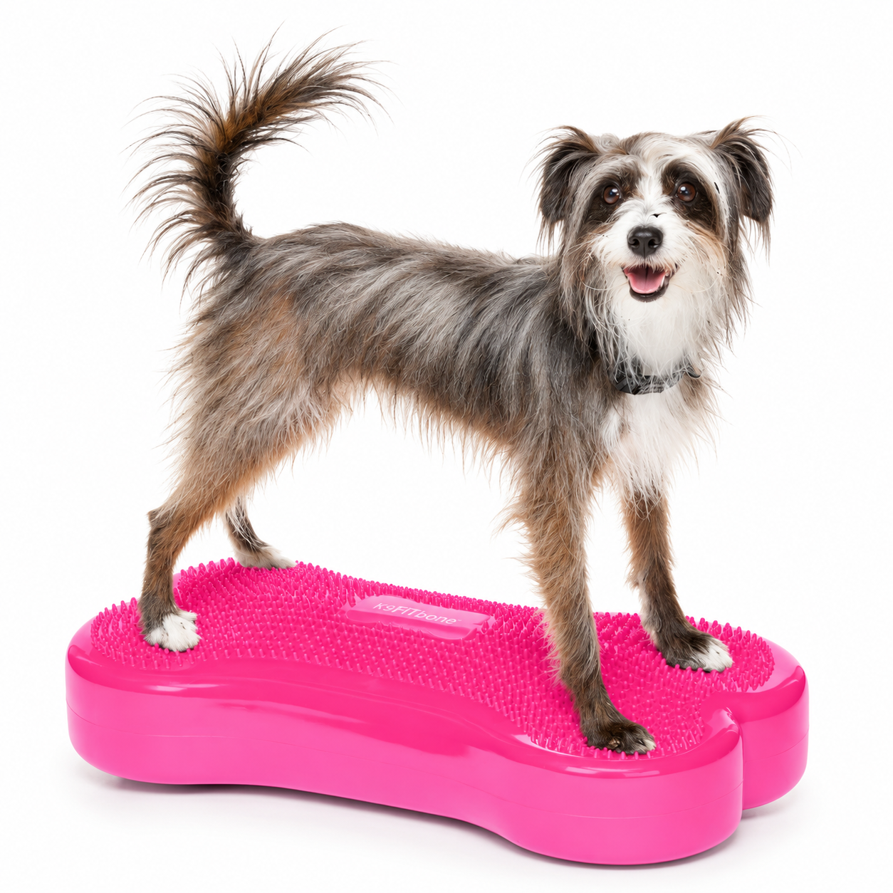 FitPAWS Regular K9 FITbone - 5