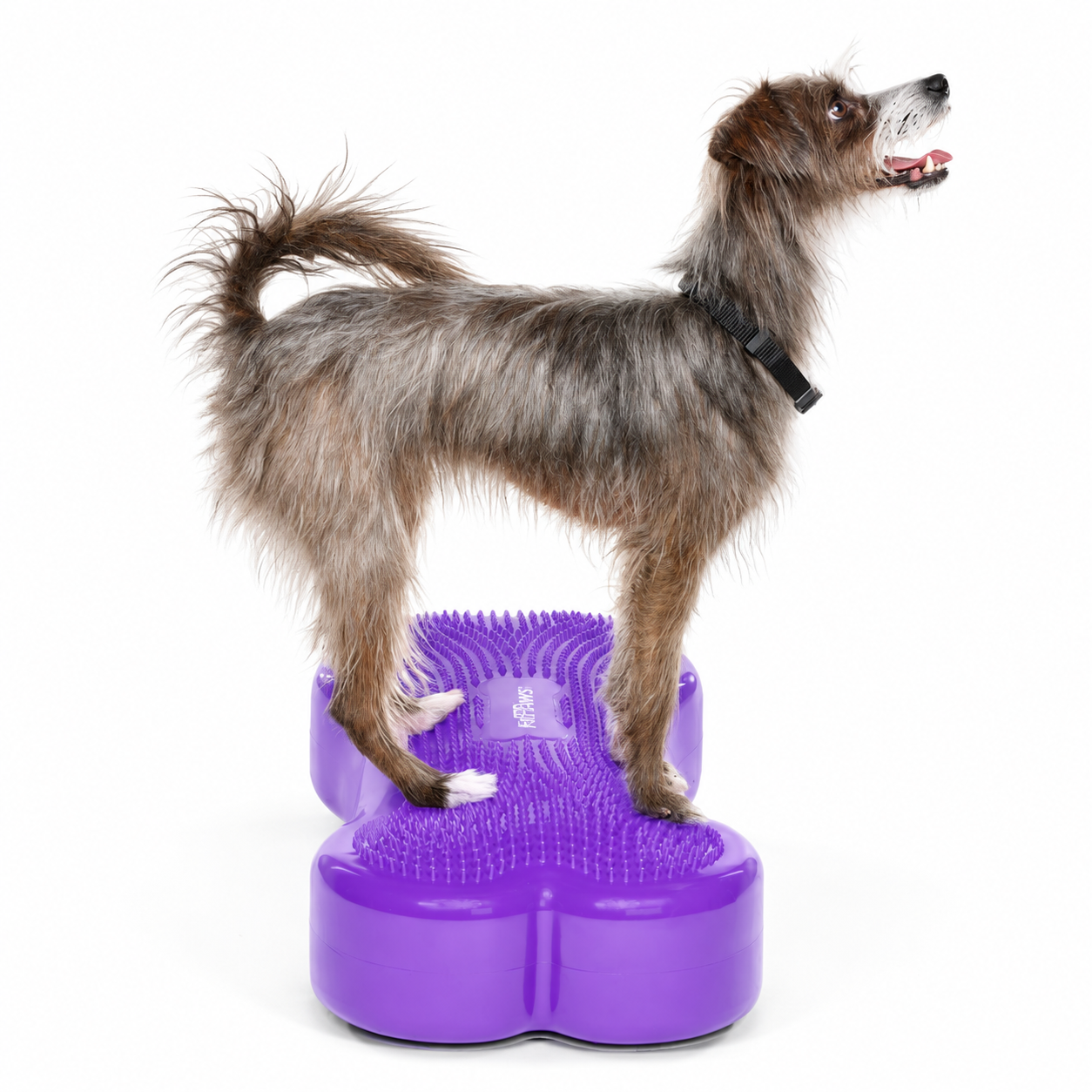 FitPAWS Regular K9 FITbone - 3