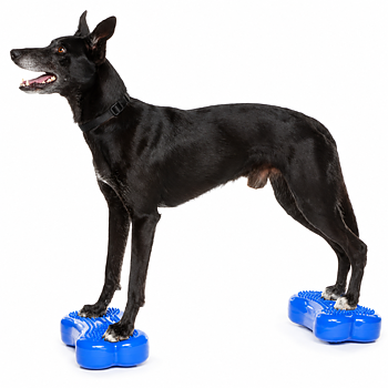 FitPAWS Mini K9 FITbone (set om 2st)