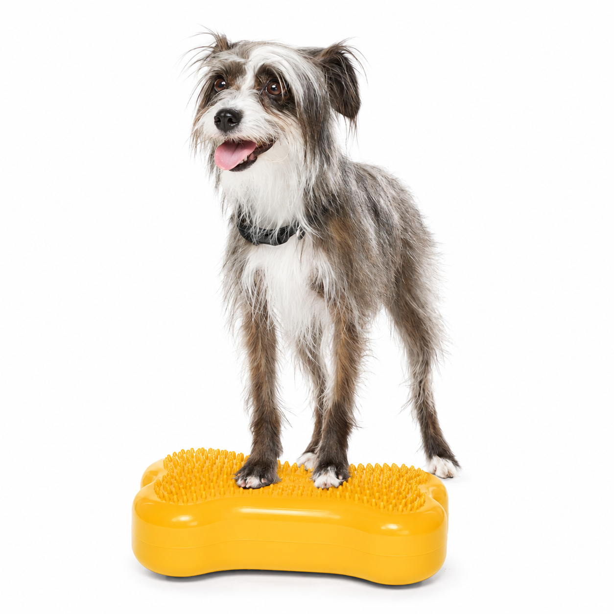 FitPAWS Mini K9 FITbone (set om 2st) - 4