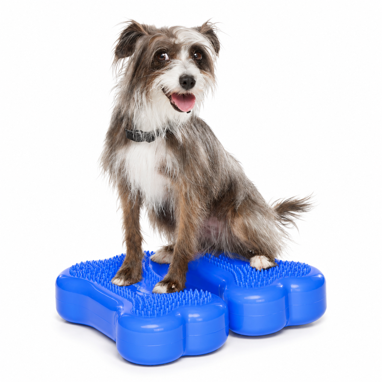 FitPAWS Mini K9 FITbone (set om 2st) - 3