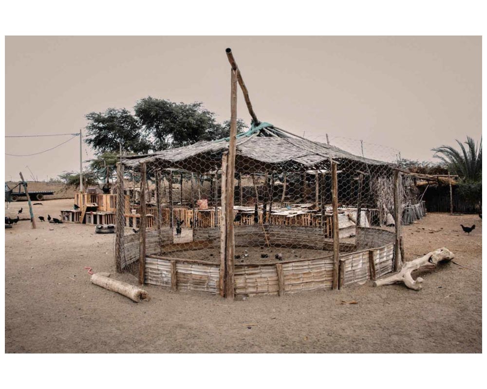 Ricard Estay: Birdland / Tierra de Pàjaros [signed] - 6