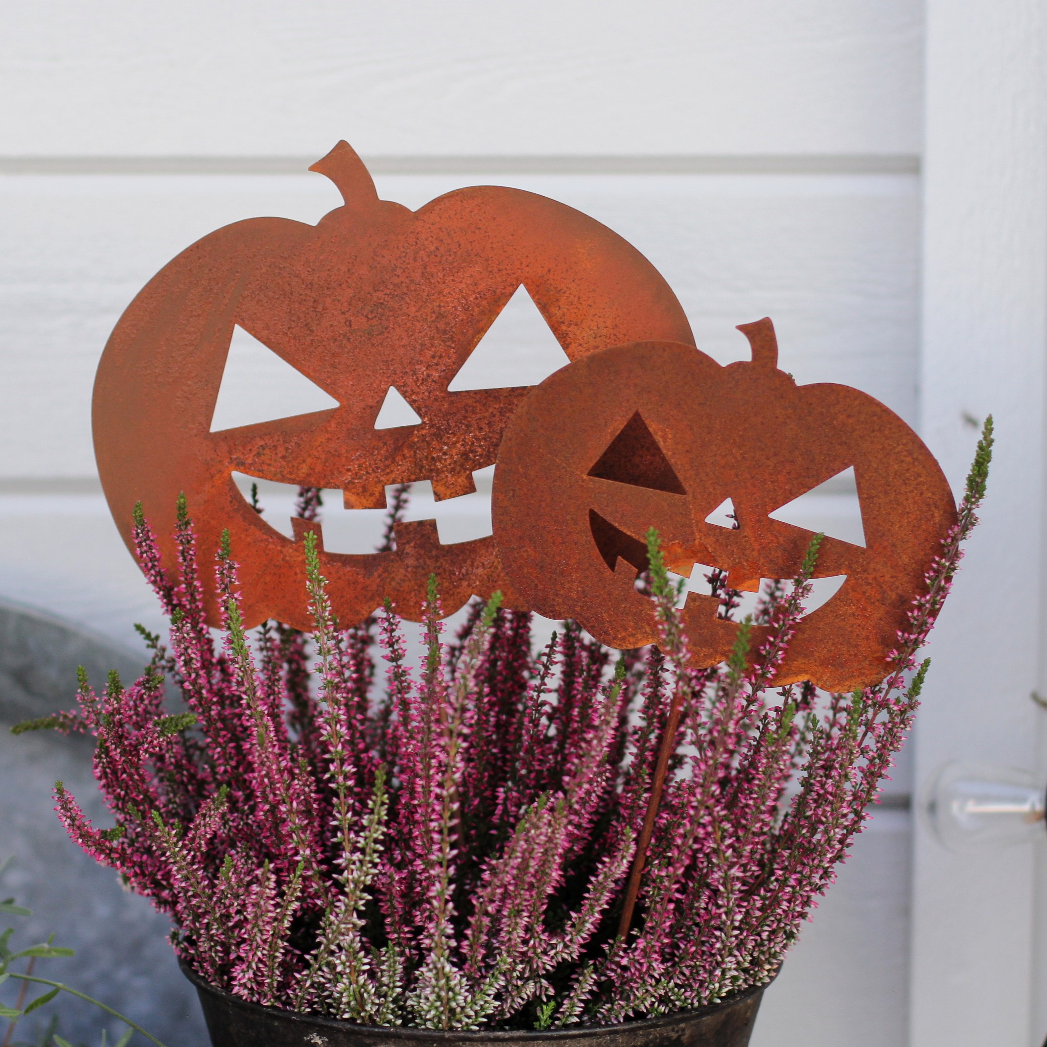 Pumpa Rost på pinne - Stor