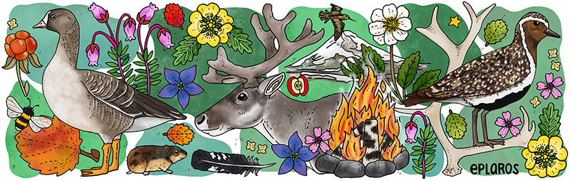 Emaljmugg - Fjället - 3