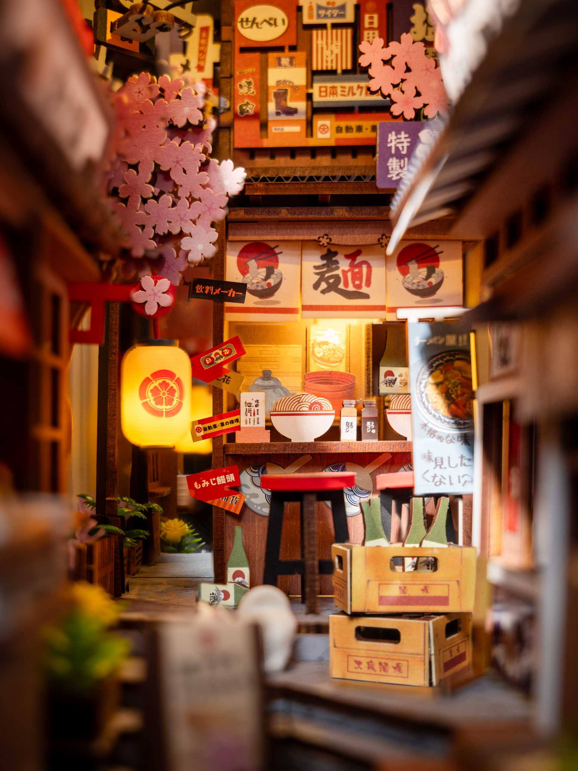  Book Nook DIY-  Rolife Sakura Wine Alley - 3