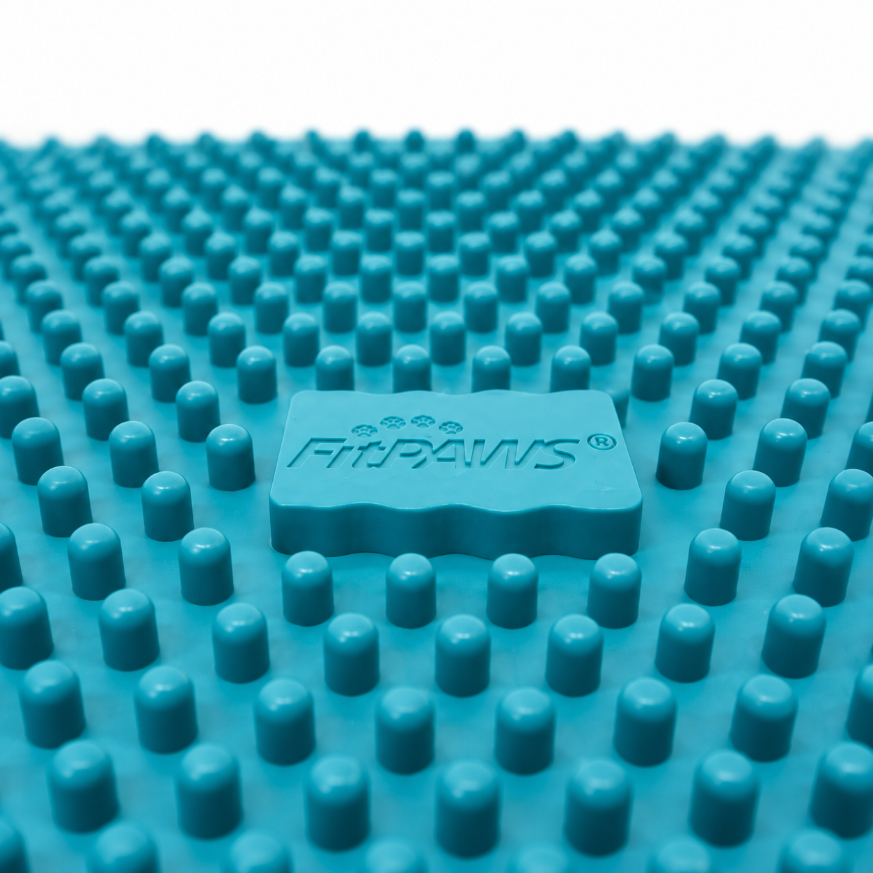 FitPAWS –  K9 FitMat - 3