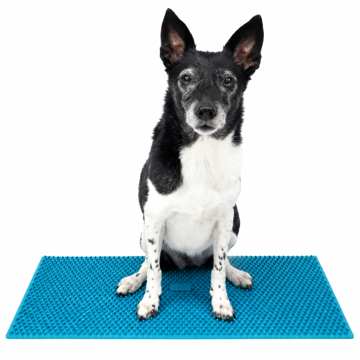 FitPAWS –  K9 FitMat - 4