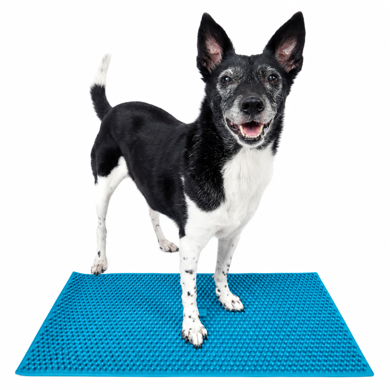 FitPAWS –  K9 FitMat