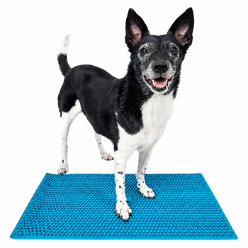 FitPAWS –  K9 FitMat