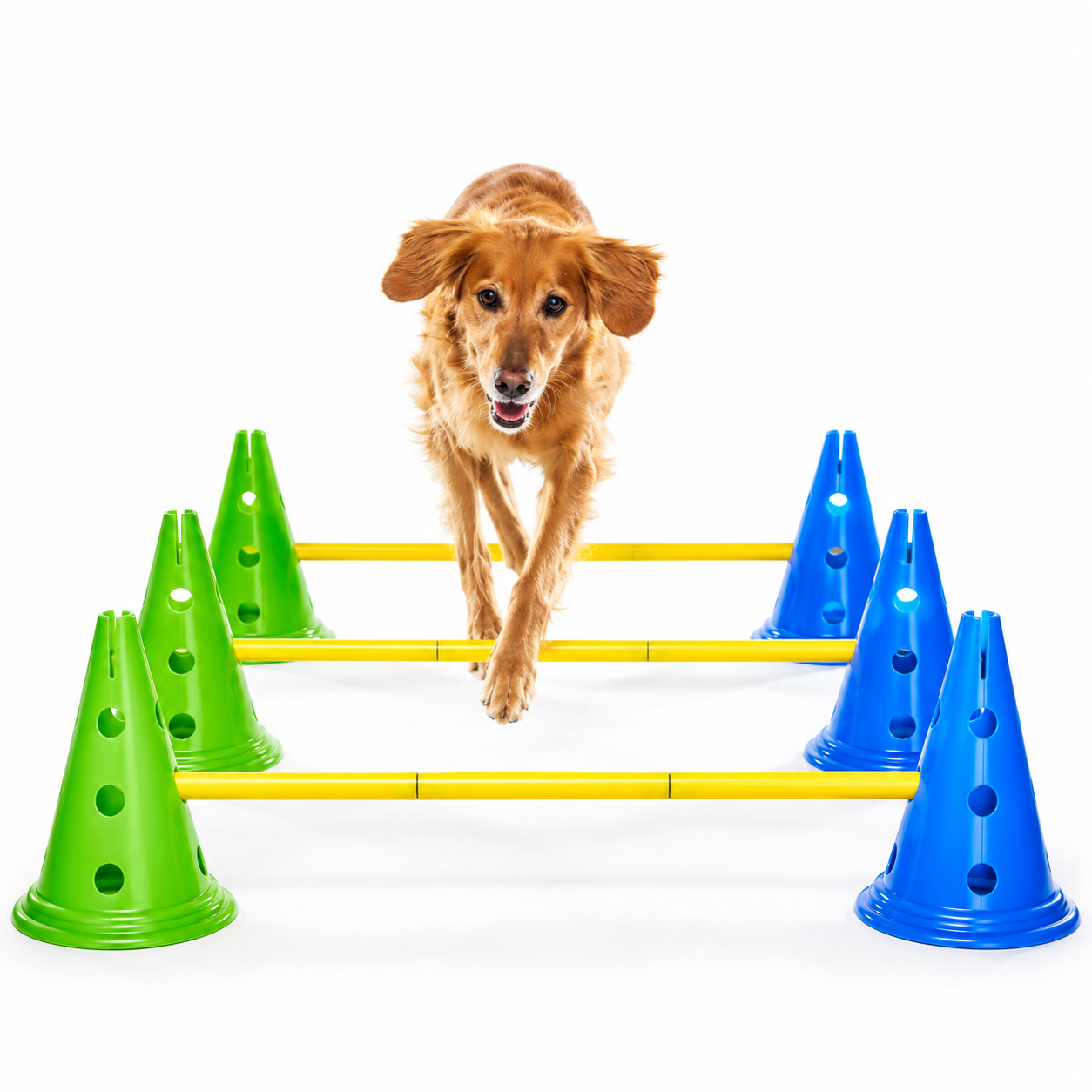 FitPAWS K9 Cavaletti Set  - 2