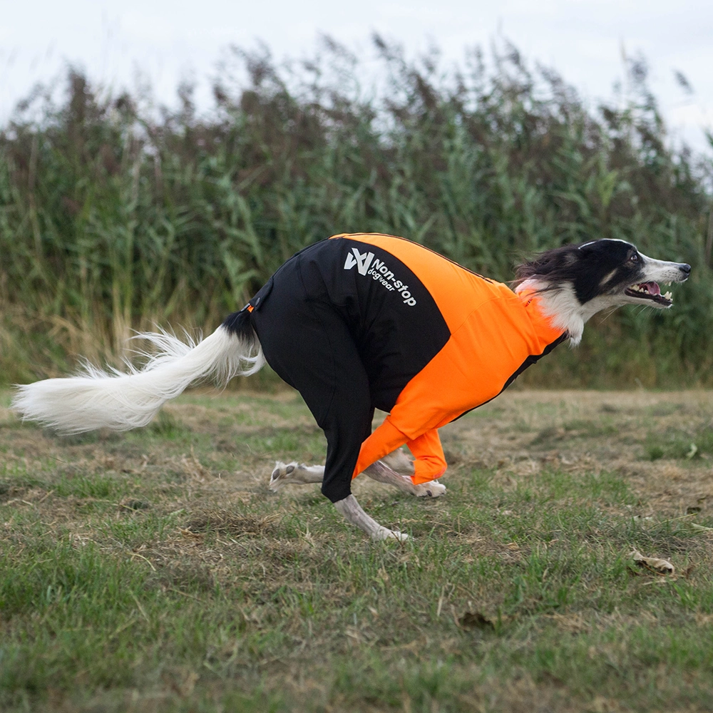 Non-stop Protector suit heltäckande kroppstrumpa till hund