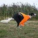 Non-stop Protector suit heltäckande kroppstrumpa till hund