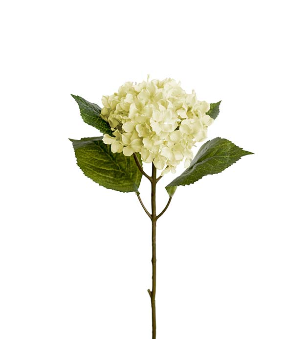 Hortensia 40 cm