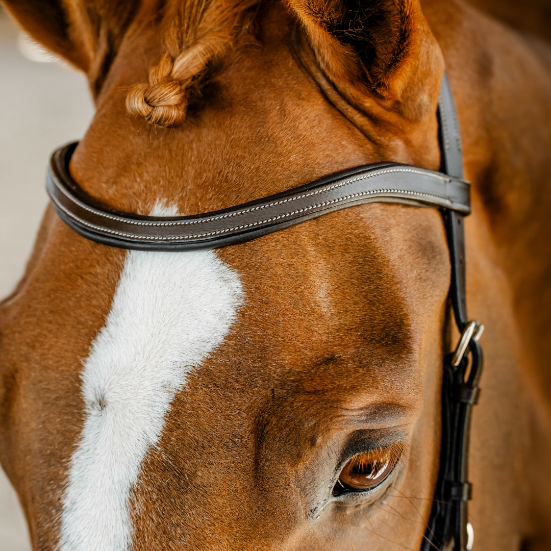 HORSEWARE MICKLEM COMPETITION BRIDLE - 12