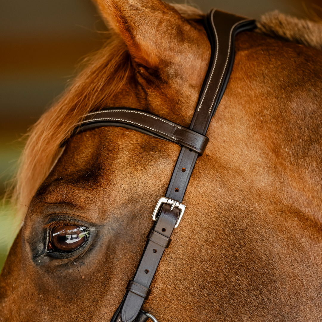 HORSEWARE MICKLEM COMPETITION BRIDLE - 9