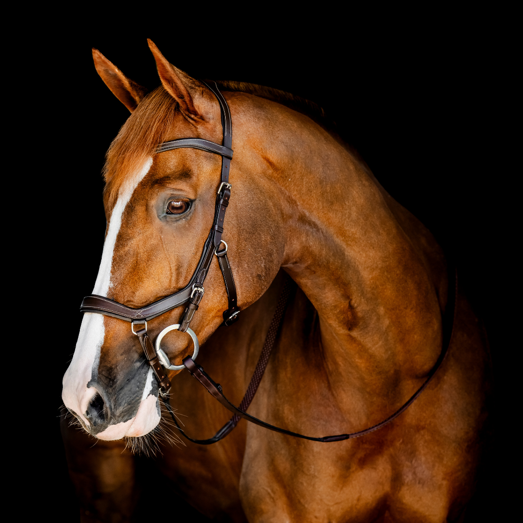 HORSEWARE MICKLEM COMPETITION BRIDLE - 5