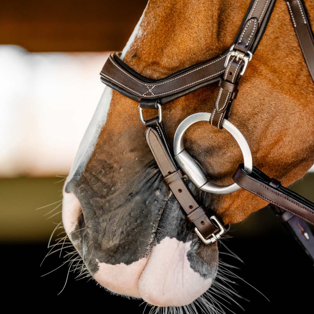 HORSEWARE MICKLEM COMPETITION BRIDLE - 8