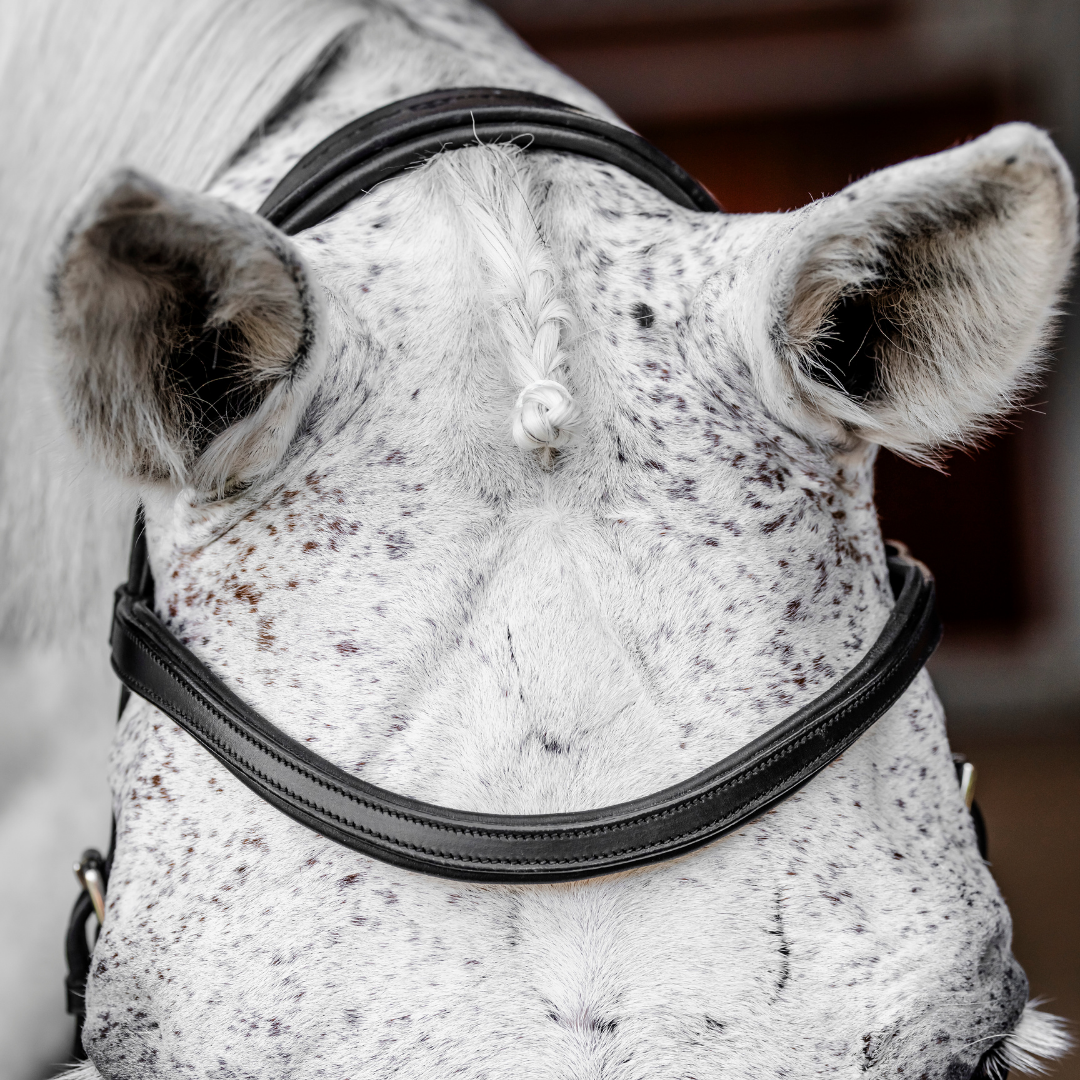HORSEWARE MICKLEM COMPETITION BRIDLE - 4