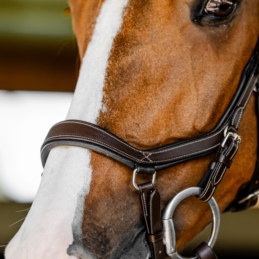 HORSEWARE MICKLEM COMPETITION BRIDLE - 6
