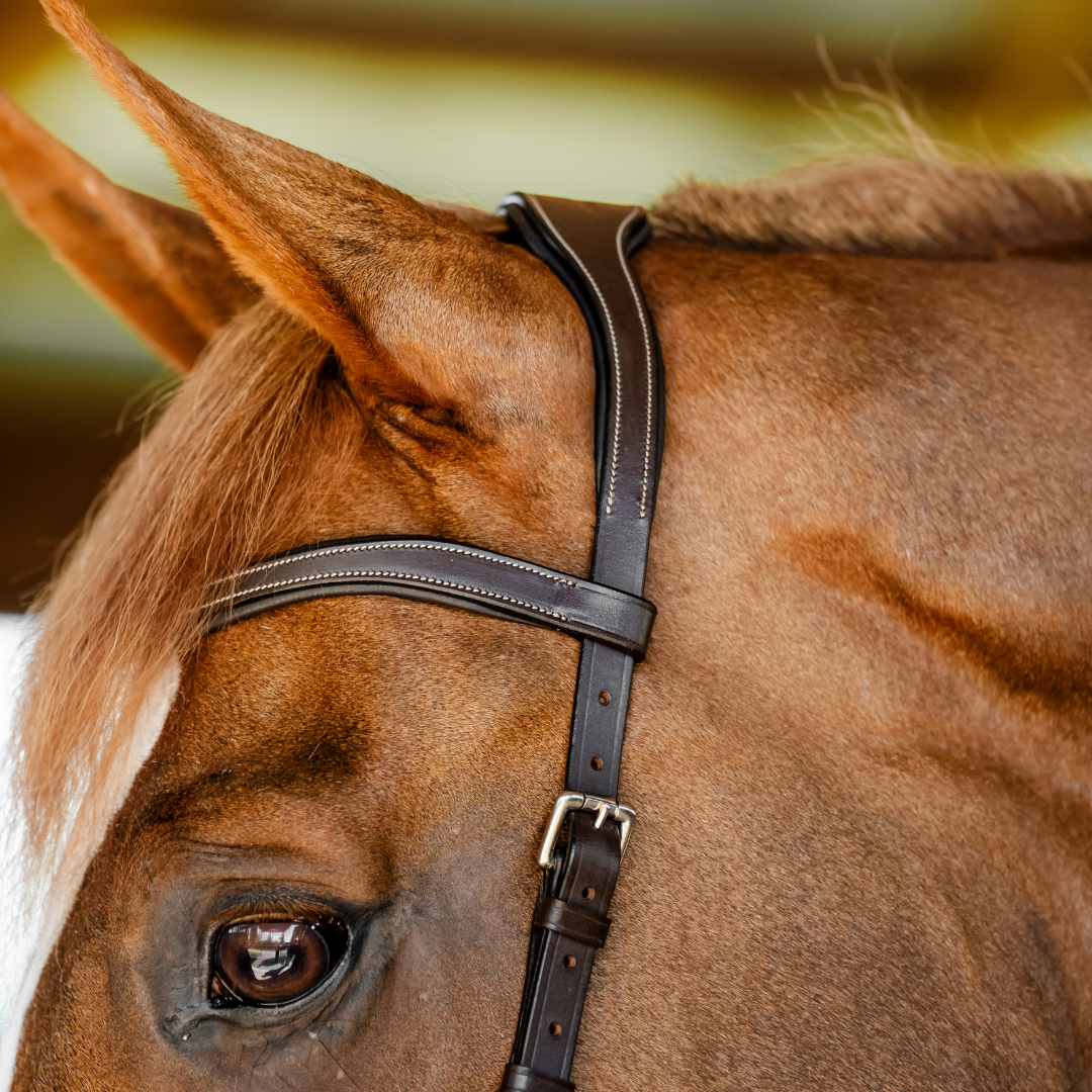 HORSEWARE MICKLEM COMPETITION BRIDLE - 7