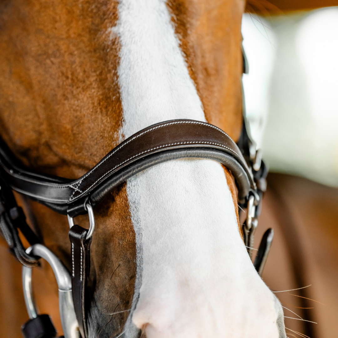 HORSEWARE MICKLEM COMPETITION BRIDLE - 11