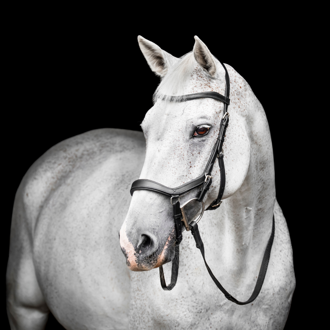 HORSEWARE MICKLEM COMPETITION BRIDLE - 2