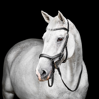 HORSEWARE MICKLEM COMPETITION BRIDLE