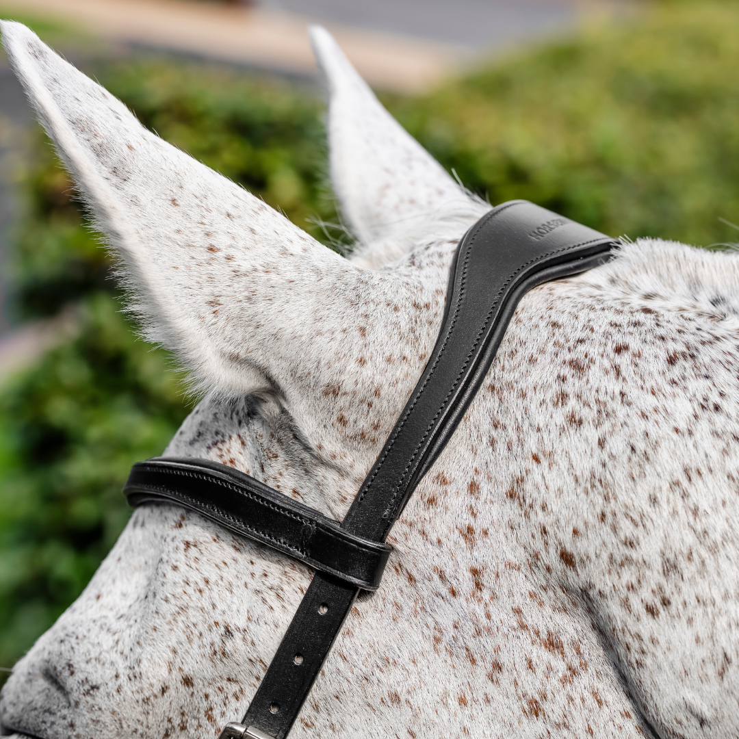 HORSEWARE MICKLEM COMPETITION BRIDLE - 3