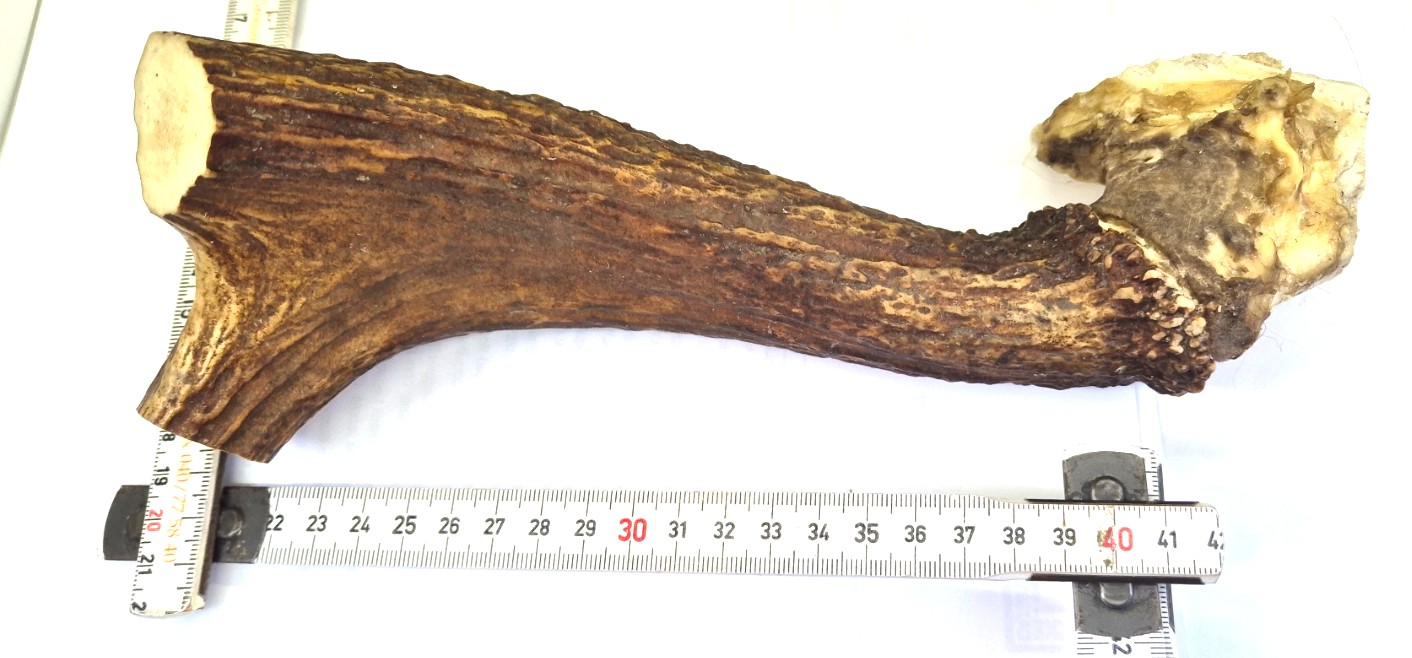 Älghorn Mix-1