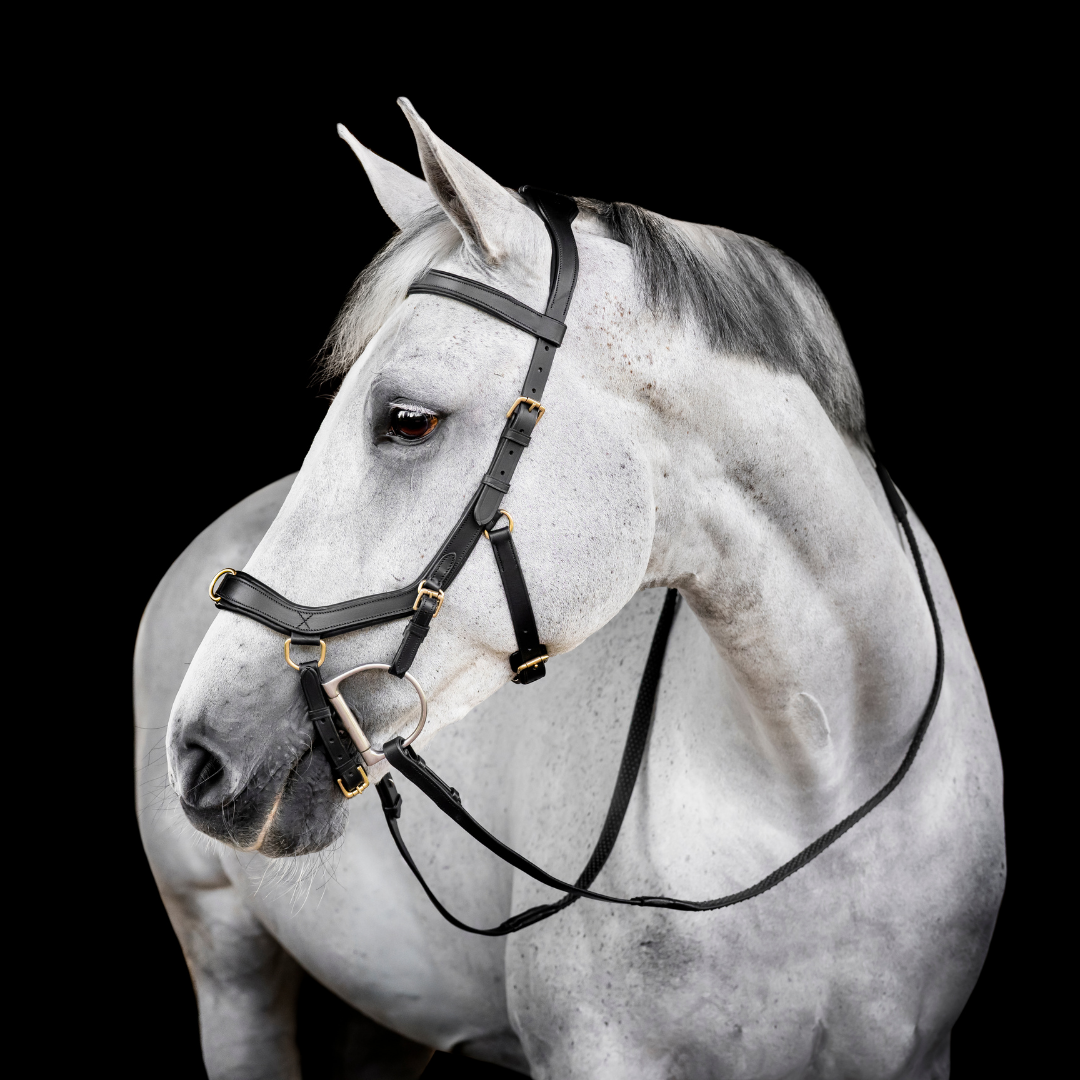 HORSEWARE MICKLEM MULTI BRIDLE - 2
