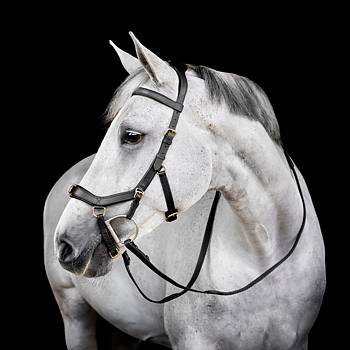 HORSEWARE MICKLEM MULTI BRIDLE